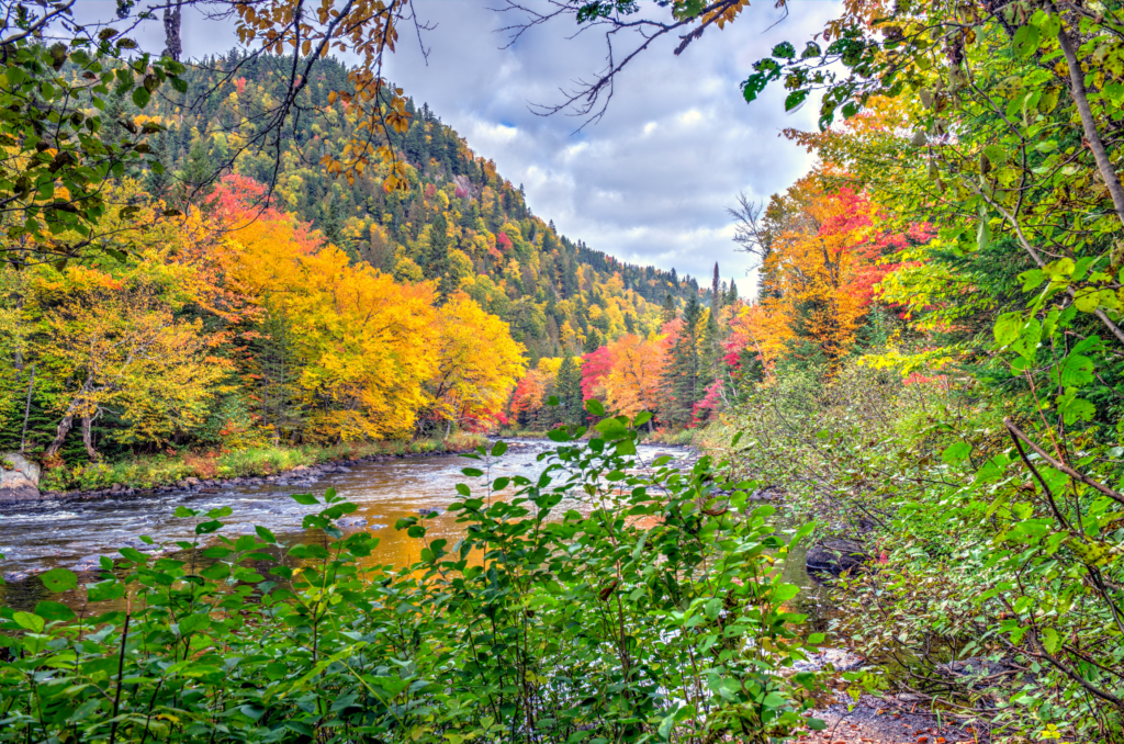Poussière d'Etoiles Voyages sur mesure le Québec en automne