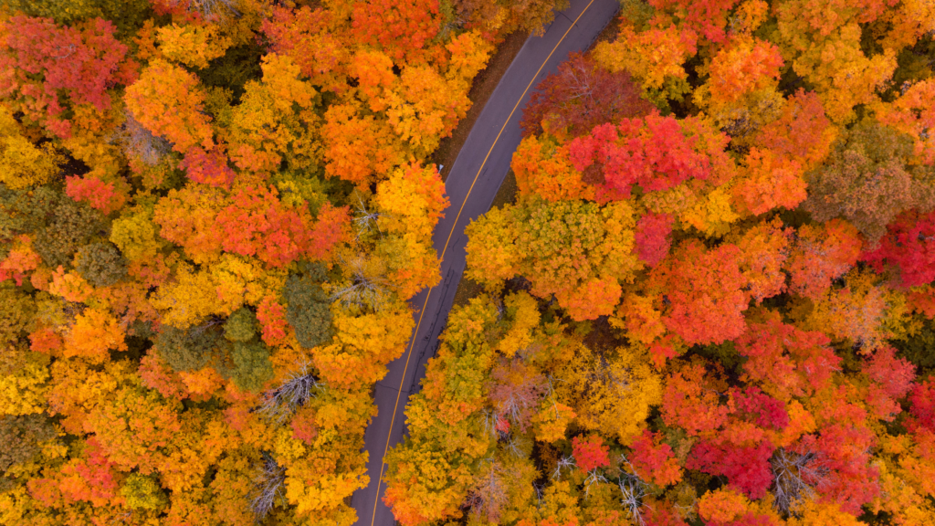 Poussière d'Etoiles Voyages sur mesure le Québec en automne