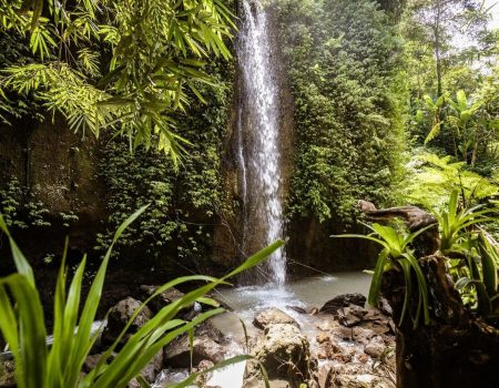 Poussière d'Etoiles Voyages sur mesure Bali cascade